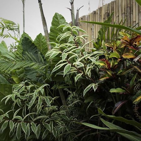 Dugul Ubud Kültér fotó